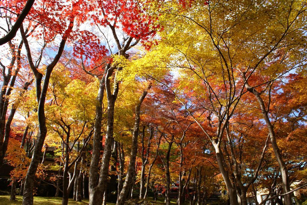 Yutorelo-an ANNEX Hakone Exterior foto